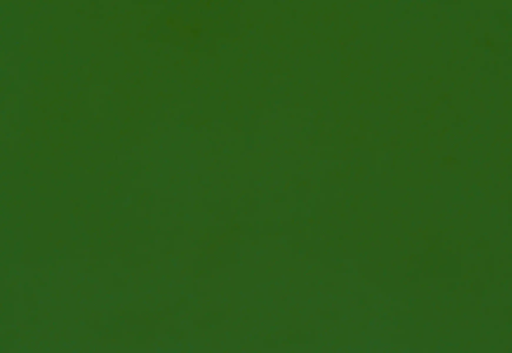 C209 GN411 | Colors Tabs | Aluglobusfence.com