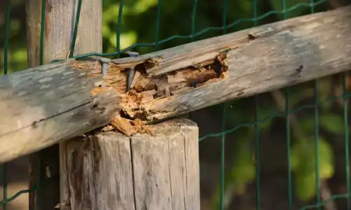 Aluminum vs Wood Fence Products in Wildfire-Conscious Design
